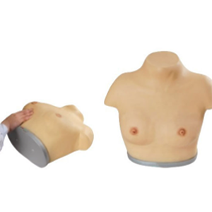 Senior breast inspection and palpation model